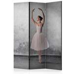 Paravan u 3 dijela - Ballerina in Degas paintings style [Room Dividers] 135x172