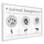 Poster - How to Recognize an Animal 30x20