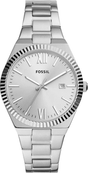 Muški satovi Fossil ES5300