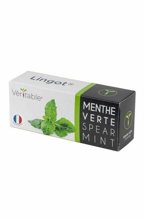 Veritable Lingot® Mint
