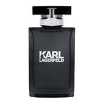 Lagerfeld - KARL LAGERFELD POUR HOMME edt vaporizador 100 ml