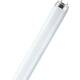 OSRAM fluorescentne cijevi Energetska učinkovitost 2021: G (A - G) G13 58 W hladno bijela oblik cijevi (Ø x D) 25.5 mm x 1514.2 mm 1 St.