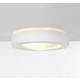 SLV 148001 GL105 stropna svjetiljka štedna žarulja E27 50 W bijela