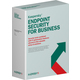Kaspersky Endpoint Security for Business - Select 10-14 PC, price per PC, EN, Komercijalna, 1 Dev, Nova, 24mj, KL4863XAKDS