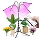 MG Plant Light Tripod LED lampa za biljke 36W, crna