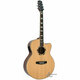 Aosen gitara J530C EQ101