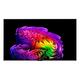 LG OLED77G61LW televizor, 77" (196 cm), OLED, Ultra HD, webOS