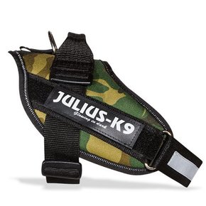Julius-K9 IDC power