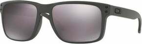 Oakley Holbrook 9102B5 Steel/Prizm Daily Polarized XL Lifestyle naočale
