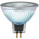 OSRAM 4058075433786 LED Energetska učinkovitost 2021 G (A - G) GU5.3 reflektor 8 W = 50 W hladno bijela (Ø x D) 51 mm x 46 mm 1 St.