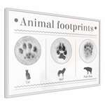 Poster - How to Recognize an Animal 45x30