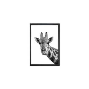 Slika Tablo Center Giraffe Portrait