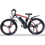 LAFLY X2 električni bicikl - Crna - 1000W - 15aH