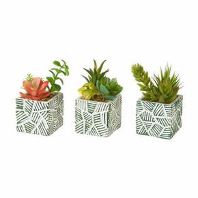 Umjetne biljke u setu 3 kom Cactus – Casa Selección