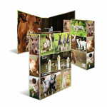 Herma Animals registrator, A4, 70 mm, životinje na farmi
