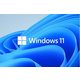 MICROSOFT Windows 11 Pro, 64-bit, Hrvatski, OEM, DVD, FQC-10524 FQC-10524