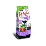 Fit Active Everyday Small Beef &amp; Apple 15 kg