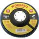 WorkPro WP407559 lamelna brusna ploča promjer 125 mm Promjer bušotine 22.2 mm 10 St.