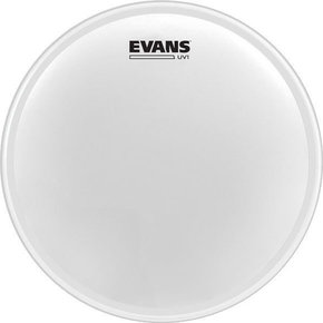 Evans B12UV1 UV1 Coated 12"