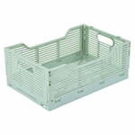 Mentol zelena plastična kutija za pohranu 30x20x11.5 cm – Homéa