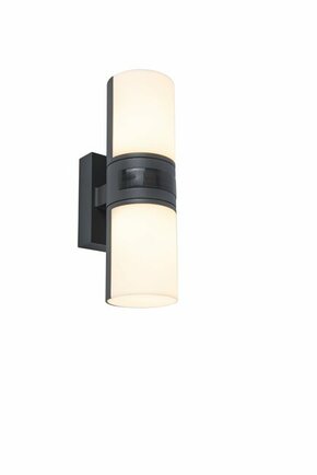 LUTEC 5198101118 | Cyra Lutec zidna svjetiljka cilindar elementi koji se mogu okretati 1x LED 950lm 3000K IP54 tamno siva