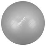 Avento lopta za vježbanje/teretanu promjer 55 cm srebrna