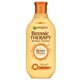 Garnier šampon za vrlo oštećenu kosu Botanic Therapy, 400 ml