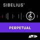 AVID Sibelius Perpetual with 1Y Updates Support (Digitalni proizvod)