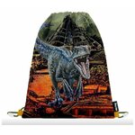 Karton P+P Jurassic World 2 torba za teretanu