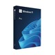 Microsoft Windows 11 Pro, HAV-00141