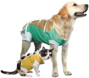 Kuna postoperativna odjeća - za ženske pse XXS - 19 cm