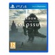 Shadow of the Colossus Standard Edition PS4