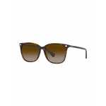 Ralph Lauren Sunčane naočale '0RA52935650033B' smeđa / tamno smeđa