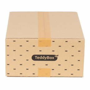 Set od 3 bež kutije za pohranu Compactor Teddy