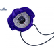 Plastimo Compass Iris 50 Blue