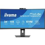 TFT 34.0/86.4cm Iiyama ProLite XCB3497WQSNPH 21:9 curved