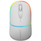 CANYON MW-22, 2 in 1 Wireless optical mouse with 4 buttons,Silent switch for right/left keys,DPI 800/1200/1600, 2 mode(BT/ 2.4GHz), 650mAh Li-poly battery,RGB backlight,Mountain lavender, cable lengt CNS-CMSW22ML CNS-CMSW22ML