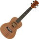 Arrow MH-10 Koncertni ukulele Natural