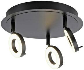Paul Neuhaus 6788-13 LED stropna svjetiljka LED 19.2 W antracitna boja