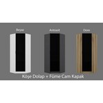 Woody Fashion Garderoba, Kale Glass Dark Grey Oak - 210