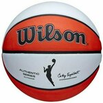Wilson NBA Auth Series Outdoor