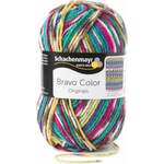 Schachenmayr Bravo Color Aqua Jacquard Color 02084