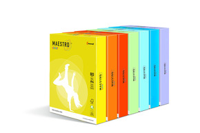 MAESTRO® color A5 fotokopirni papir u pastelnim bojama