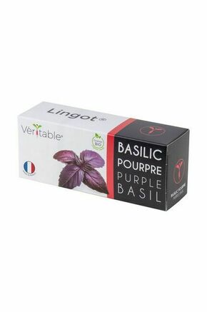 Veritable Lingot® Purple Basil - Organic