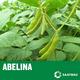 Soja Abelina PREMIUM C2 25 kg