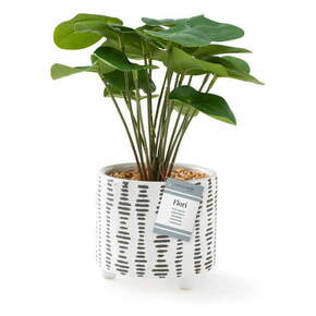 Umjetna biljka (visina 23 cm) Flori Pilea – AmeliaHome