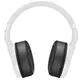 Sennheiser HD4.20 slušalice