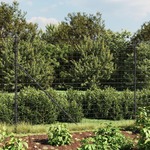 vidaXL Ograda od žičane mreže sa šiljastim držačima antracit 2x10 m