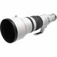 Canon objektiv EF, 600mm, f2.8L IS II USM, nature