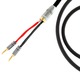 Atlas Cables - Mavros Speaker Cable 2-2 - 5m